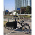 2 wheel Ebike battery assist cargo Otkargo bicycle
